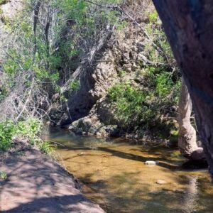 Paton Ashbrook Instagram - Covered in mud and flourishing.🌞🌊🌾
Quick trip, had to fit in my fave hike and a quick treat. Here are some nature sounds for you. 
💋 Make sure you’re grounding yourself amidst this chaotic time.
#groundingtechniques #hikingtrails #naturelover #somatichealing #selfcare #eclipseseason #mercuryretrograde #soundscapes