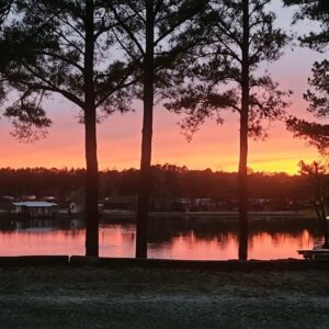 Patricia Cornwell Instagram - Marino’s camping this holiday weekend & wanted to share his sunrise with all of you.