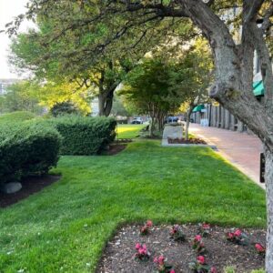 Patricia Cornwell Instagram - Happy Monday everyone! A beautiful cool one in Boston. 💕✍🏼