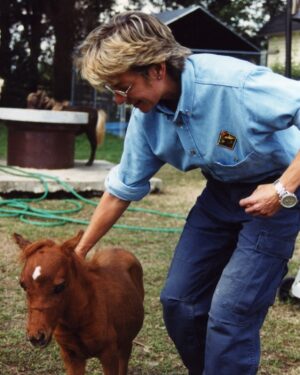 Patricia Cornwell Instagram - Who loves mini horses?❤️🐎