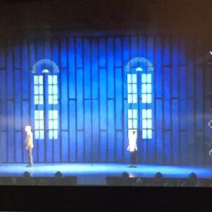 Patricia Meeden Instagram - Ok... you might have seen my laugh attack from Sister Act in 2011....but this beats everything🤣 I will never understand how the audience can think that we don’t hear them. This Dude in the first row picked the most quiet and serious scene to blow his nose like an elephant.... WE LOST IT within seconds! 🙈😳🤧🐘 So if u really listen u can hear the nose-blower in the Video after Frank aka @joweil_official says „Ich habe einen Fehler gemacht“ ... we tried to keep it together for a bit, but we didn’t stand a chance🤣🤣🤣 I even told him off by saying “I’m sorry, but you blew your nose so loudly”😅 #bloopers #rachelmarron #frankfarmer #breakupscene #supposedtobeserious #bodyguardmusical #allergyseason #weCANhearyoupeople !!!🤦🏽‍♀️😆