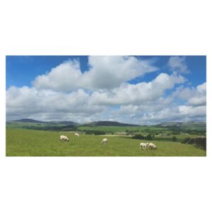 Patrick Grant Instagram - Big skies, curious cows and less interested sheep. Bowland Knotts, Forest of Bowland National Landscape.

@forestofbowlandnl #cycling