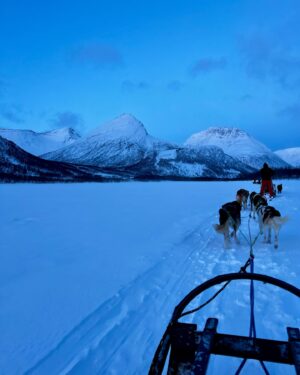 Patrick O'Connor Instagram - Sledding in Norway

Could’ve bought a husky but Winnie would be pissed