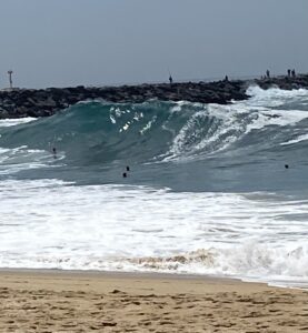 Patrick Warburton Instagram - Dirty old wedge this morning. Had to go in, but didn’t drop in…
Not a big day, but still- not crazy like the ol days. Still felt great to hang in the  water. #dirtyoldwedge #thewedge #teamswollen #newportbeach
