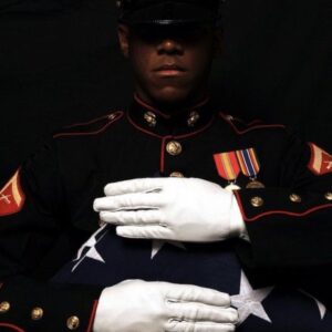 Patrick Warburton Instagram - God love and protect all the brave men and women in our armed forces. Thank you for your dedication and valor. For those who have fallen, we thank you for the ultimate sacrifice. Freedom is not free. #marines #army #navy #airforce