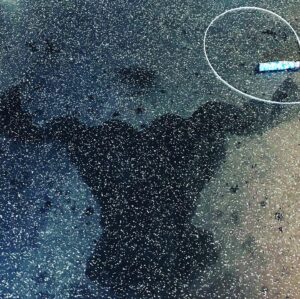 Patrick Wilson Instagram - Ed Warren: Ghost Hunter/Crossfitter.