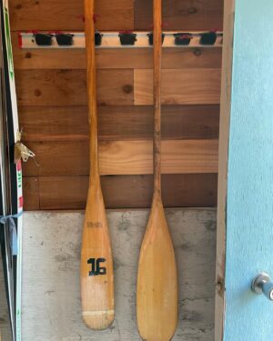 Paul Campbell Instagram - Not sure which one to use. It’s sort of an either/oar.