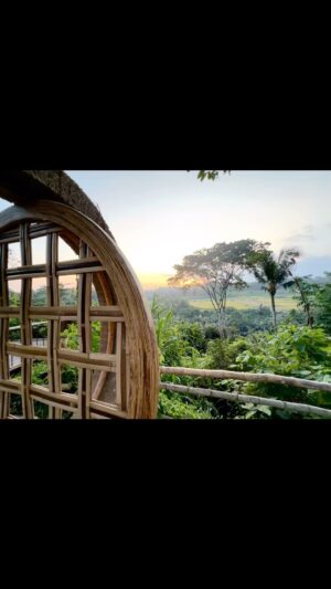 Paul Greene Instagram - What an extraordinary experience being here in Bali… Finishing a retreat that was some very deep, profound work on relationships and past stuff… And also creating more intimacy and more connection. Grateful to have been able to take this time not just for the recharge, but to dig deep and grow.
#bali #ubud #baliindonesia @kate.austin.alchemist