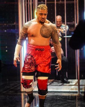 Paul Heyman Instagram - #FLASHBACK

... to last year's @WWE #SurvivorSeries, where YOUR #TribalChief @RomanReigns led the #Bloodline into battle for a historic #WarGames in which once again the single most dominant faction in pro wrestling / sports entertainment history proved its superiority over all others. 

Have YOU Acknowledged Your Tribal Chief Today?