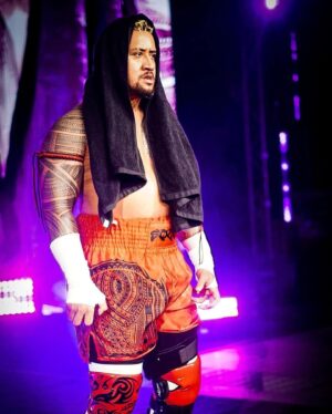 Paul Heyman Instagram - #FLASHBACK

... to last year's @WWE #SurvivorSeries, where YOUR #TribalChief @RomanReigns led the #Bloodline into battle for a historic #WarGames in which once again the single most dominant faction in pro wrestling / sports entertainment history proved its superiority over all others. 

Have YOU Acknowledged Your Tribal Chief Today?