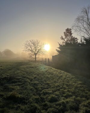 Paul Hollywood Instagram - Beautiful morning …