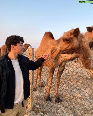 Paul Karmiryan Instagram - I 🐫 Q8