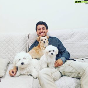 Paul Karmiryan Instagram - What my Saturday looks like... #puppysitting🐶🐾