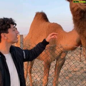 Paul Karmiryan Instagram - I 🐫 Q8
