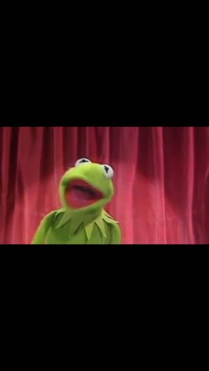 Paul Simon Instagram - In honor of @kermitthefrog’s birthday...