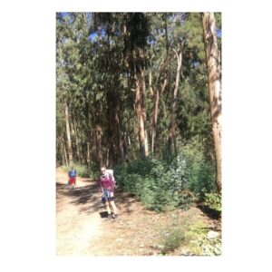 Paula Possani Instagram - #tbt de qdo fiz o caminho de Santiago de Compostela com meu pai. Chegar caminhando, sair caminhando, dormir e acordar para caminhar. Tanta coisa bonita pelo caminho, tantos aprendizados. Viver com pouco, só com o que vc pode carregar. Um passo depois do outro. E outro. E outro……….. Uma das grandes experiências que trago na memória! ❤️ #caminhodesantiago #santiagodecompostela #vidanomade #trilha #trilheirasdobrasil #trilheiras #caminho