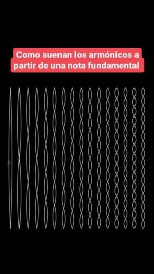 Paulo Costa Lima Instagram - Posted @withregram • @bajazzmagazine Un ejemplo de la serie de armónicos ❤️🤓🎵

Reposted @withregram • @jain108academy What does the harmonic series sound like?

🎥: @AlexanderChen

#jazz #bajazzmagazine #cymatics #frequency #hz #sound #healing #vibration #energy #fractal #music #cyclical #musical #soundwave #resonance  #octave #octaves