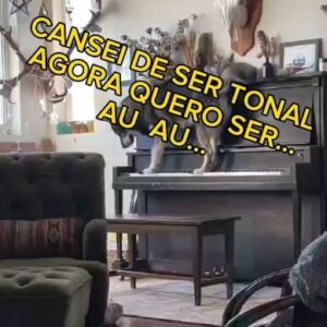 Paulo Costa Lima Instagram - Obrigado Antonio Silva @antonio54silva que me enviou o vídeo

via @helixandchiel