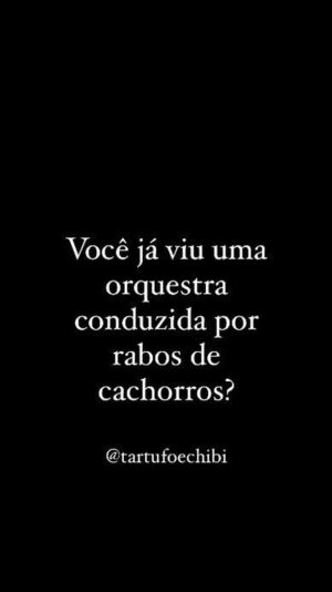 Paulo Costa Lima Instagram - Vê se pode? 

Recebido de @lucimarosoficial (obrigado!)

Posted @withregram • tartufoechibi Os condutores de orquestra mais fofos desse mundo! 🐶🐶🐶 #doglover #orquestradecaes #spotfy #music