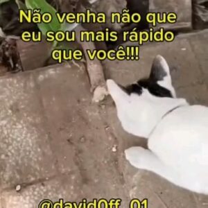 Paulo Costa Lima Instagram - via @david0ff_01