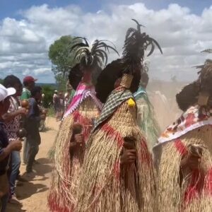 Paulo Costa Lima Instagram - Bonita manifestação Pankararu...
(Sugestão de @andesonsemor, Indígena Pankararu e doutorando em Etnomusicologia pela UFBA)

@pankararu.videos cajarana vei 💙
