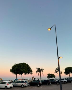 Paulo Rocha Instagram - Um dia em Setúbal. Muito significativo mostrar para o meu filho um pouco da sua origem. Os lugares, as comidas e a cultura de onde vim 🤍
