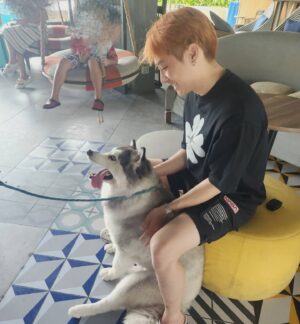 Pawin Kulkaranyawich Instagram - ไอ้ตะอ้วน🐶