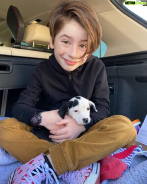 Paxton Booth Instagram - Happy #nationalpuppyday 🐶 #fb to Ripley’s gotcha day! 

Big thanks to @pawworks for all the lives they save! Please adopt, don’t shop 💕