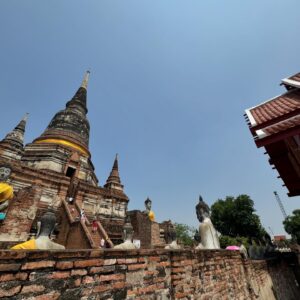 Pedro Carvalho Instagram - 📍Wat Yai Chai Mongkon e um calor de 50• 🔥