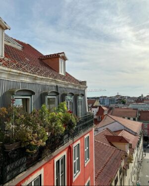 Pedro Carvalho Instagram - 📍Lisboa🇵🇹🤍