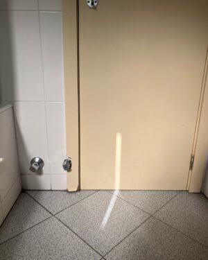 Pei-Yu Hung Instagram - 五月再見。

寫下一些咒語
ㄧ些更像是跟血液裡流動有關的 運動
在寬闊傾斜的地方
像平山先生一樣抬頭 看見

未來的日子得找到能讓心持續柔軟的方法
路還很長

🌻