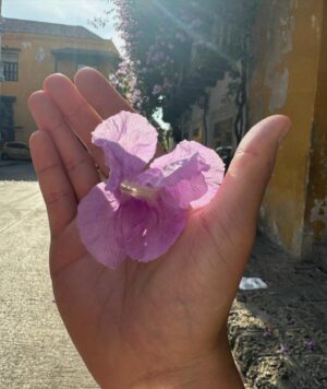 Pepe Valdivieso Instagram - Me encantó pasar estos días en #Cartagena 🇨🇴✨ tenía mucho tiempo que quería venir y me la pasé súper bien. Amé sus colores, su sabor, sus flores, sus peces, le sufrí un poco al calor pero aprendí a disfrutarlo 💖PD aquí es el lugar donde Betty se enamoró del francés 😱