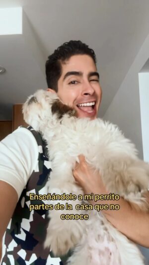 Pepe Valdivieso Instagram - Su parte favorita fue la lavadora 😂😱🐶 #comedia #humor #perritos #lhasaapso #viral