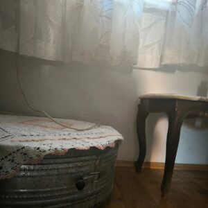 Pervin Bağdat Instagram - Yaşamın şakalarla,kahkahalarla dolu bir neşe dalgasıydı; gidişin 1 Nisan'da gülemediğimiz tek şakan oldu..seni çok seviyorum babaannem; tontonum,pamuk Aytenim...bu ev,bu yaşam ,bu dünya sensiz nasıl katlanılır bir yer olacak hiç bilmiyorum..bizi bu kadar çok sevdiğin, tüm aykırı düşüncelerimizi bile savunup bizi hep yüreklendirdiğin, hep çok güldürdüğün ve aşıladığın yaşama sevinci için teşekkür ederim..vedaların en zoru, ayrılıkların en acısı, özlemlerin en derini senin adınla anılacak hep.çocukların, torunların en şanslısıydık.. söylenecek çok şey var.. birazdan seni koyduğumuz o soğuk çukura marteniçkamı bırakmak için yanına geleceğim..ama bil ki dnalarımda,kalbimin bütün odalarında,her günümde,her sevgi dolu anımda benimle olacaksın..
Elveda!
