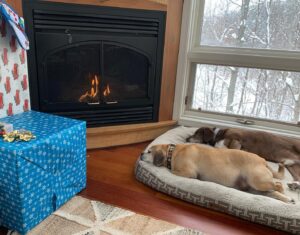 Pete Buttigieg Instagram - Wishing everyone a safe, cozy, and Merry Christmas.
