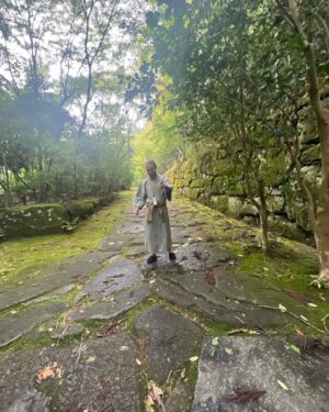 Pete Wentz Instagram - 🇯🇵❤️