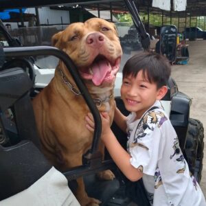 Peter Corp Dyrendal Instagram - น้องแจ๋มน่ารัก #เพื่อนใหม่พูม่า #dyrendal