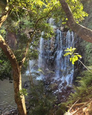 Peter Dale Instagram - Unreal experience with the family yesterday on safari in the beautiful Mauritius !! So buzzing. Bloody love waterfalls 🙌🏻. @amylbirchall @angegolflife 
Massive thanks to @chakatravel and @heritageresorts for making this amazing opportunity happen ❤️