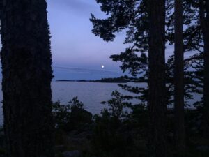 Peter Franzén Instagram - #aboutlastnight #balticsea #🇫🇮
