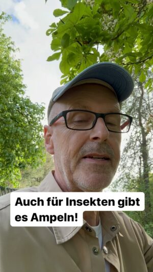 Peter Wohlleben Instagram - Auch für Insekten gibt es Ampeln😊 #wald #bäume #baum #wohllebenswaldakademie #wohllebenswelt #tree #natur #naturliebe #naturlovers #waldliebe #waldkindergarten #kastanien #naturwunder #insekten #bienen