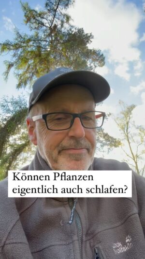 Peter Wohlleben Instagram - Können Pflanzen eigentlich auch schlafen? Aber natürlich! Ihr könnt sie dabei sogar beobachten. #blumen #pflanzen #wald #waldliebe #bäume #baum #natur #naturliebe #frühling #waldkindergarten #waldkinder