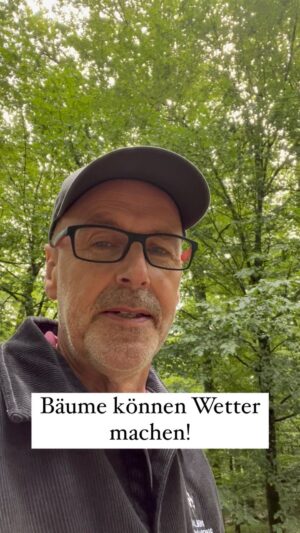Peter Wohlleben Instagram - Bäume können das lokale Wetter massiv beeinflussen. Wie – das zeige euch euch in diesem Video. #wald #klimaschutz #bäume #natur #umwelt #wohllebenswaldakademie #peterwohlleben