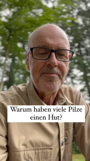 Peter Wohlleben Instagram - Warum haben viele Pilze einen Hut? #pilzesammeln #pilze #natur #wald #wunderschön #funfacts #wissenswert