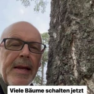 Peter Wohlleben Instagram - Viele Bäume schalten jetzt schon einen Gang zurück. Die produktiven Monate sind vorüber, und jetzt wird nur noch ein bisschen Zucker gesammelt. Dafür brauchen aber manche Bäume nicht mehr alle Blätter, und dieUnnötigen werfen sie jetzt schon ab. Es ist also nicht immer ein Alarmzeichen, wenn ab Juli schon gelbe Blätter rieseln. Zumindest dann nicht, wenn es nur ein paar sind. #tree #treehugger #baum #wohllebenswaldakademie #wohllebenswelt #garten #naturelove #naturelovers #waldliebe #waldkindergarten