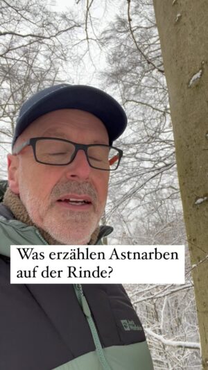 Peter Wohlleben Instagram - So deutet man Astnarben auf der Baumrinde richtig. #wald #rinde #waldliebe #waldpädagogin #wohllebenswaldakademie #peterwohlleben #bäume #trees