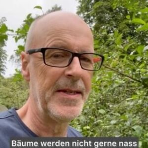Peter Wohlleben Instagram - Bäume mögen Regen, werden aber nicht gerne nass. Hier erkläre ich euch, warum.