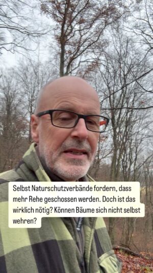 Peter Wohlleben Instagram - Müssen wirklich mehr Rehe geschossen werden? Oder können das Bäume nicht selber regeln? Die Antwort erfährst du in diesem Reel. #wald #waldliebe #natur #rehe #wohllebenswaldakademie #peterwohlleben #tiere