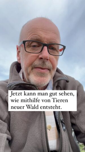Peter Wohlleben Instagram - Im Moment kann man überall gut sehen, wie Tiere helfen, dass neuer Wald entsteht.
#wald #waldliebe #naturliebe #naturelovers #tree #krähen #rabenvögel #bäume #baum #wohllebenswaldakademie #wohllebenswelt #frühling #waldpädagogin