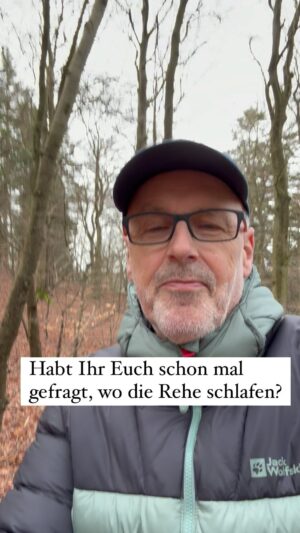 Peter Wohlleben Instagram - Habt ihr euch schon mal gefragt,, wo die Rehe schlafen? Dann schaut doch mal auf freigescharrte  Stellen im Laub. #wald #waldkindergartenkind #waldliebe #tierwelt #reh #naturelovers #tierspuren #wohllebenswaldakademie #wohllebenswelt