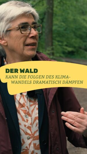 Peter Wohlleben Instagram - 🌳 Ich werde immer immer gefragt: Frau Paulus, brauchen wir den Wald denn wirklich? Ja, natürlich. Er liefert uns den Sauerstoff, er reinigt unser Trinkwasser, weil er uns abkühlt.

👉🏼 Die Ostküste hat sich in den USA um 0,3 Grad abgekühlt. Und wieso? Weil der Wald wieder angepflanzt wurde. Der Wald wirkt also so stark, dass er die Klimakrise aushebelt. Der Wald kann die Folgen der Klimakrise also abfedern.

🛑 Wie aber geht es dem Wald? Und die Antwort darauf ist erschreckend. 4 von 5 Bäumen in Deutschland sind krank. Das hat erst kürzlich das deutsche Landwirtschaftsministerium im neuen Waldzustandsbericht aufgezeigt. Europaweit sind 80 % der geschützten Ökosysteme in einem schlechten Zustand.

🇪🇺 Genau deshalb braucht es das Gesetz zur Rettung der Natur. Dieser wichtige Pfeiler ist unsere Versicherung für eine lebenswerte Zukunft. Nur durch mehr Schutzgebiete und neue Pflanzungen können wir den Wald fit für die Klimakrise machen und unsere Lebensgrundlagen schützen.

 Unterschreibe dazu jetzt unsere Petition - Link in der Bio und Story.

#GAP #MissionNaturRetten#MachenWasZählt #europawahl #Umweltschutz #Nachhaltigkeit #Agrarpolitik #Natur #Klima #Landwirtschaft #Umwelt #Natura2000 #Artenvielfalt #RestoreNature #EUParlament #NRL #Naturschutz #Renaturierung #Klimaschutz #biodiversität #Artenschutz #Artensterben #Umweltverschmutzung #Nachhaltigkeit